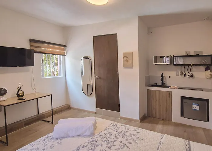 Apartamento Polanco Living, Estudio Cerca De Embajada Y Masaryk